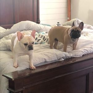 Meet your Posher, Felicia